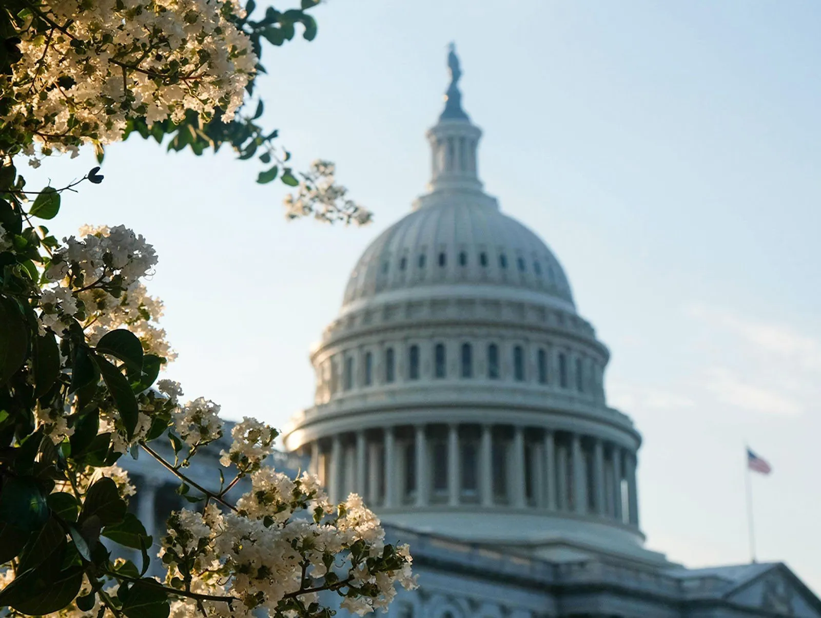 Congress Communication Tips