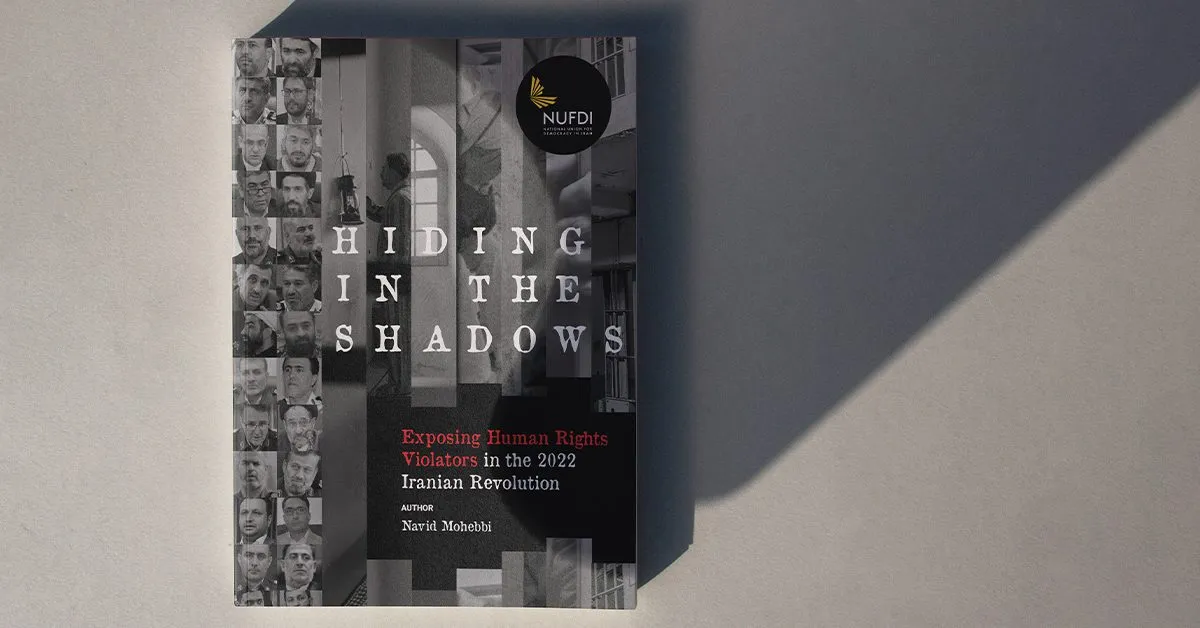 Hiding in the Shadows: Exposing Human Rights Violators